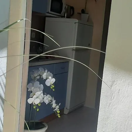 Apartment Marin I Vinka Trogir
